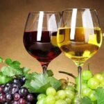 Skywalk, Madeira Wines Tasting and Vineyards 4x4 Experience - What’s Included and What’s Not