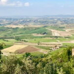 Small group (7) Chianti-side wine tour with Mercedes V class Van - What to Expect in Terms of Value