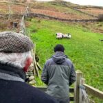 Small Group Aughnanure Castle, Sheepdog Demo & Connemara Tour - Convenient Pickup and Transportation