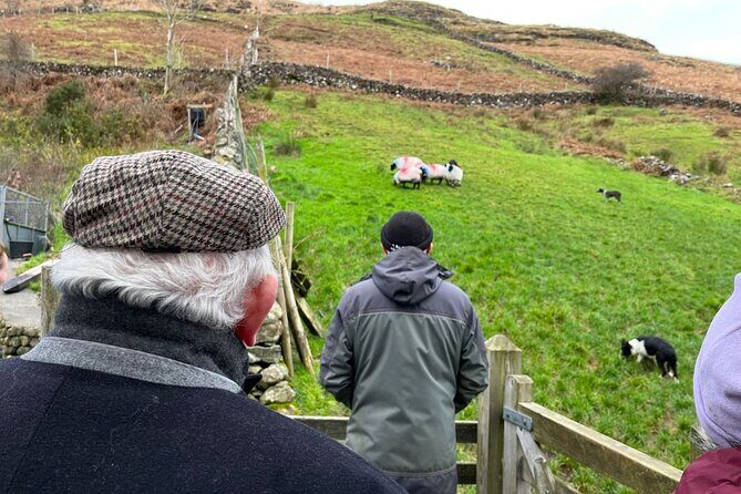 Small Group Aughnanure Castle, Sheepdog Demo & Connemara Tour - Convenient Pickup and Transportation