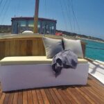 Small Group Cruise Around Antiparos & Despotiko With Lunch - Analyzing Value for Money