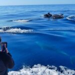 Small Group Dolphin and Wildlife Watching Tour in Faro - Practical Details and Tips