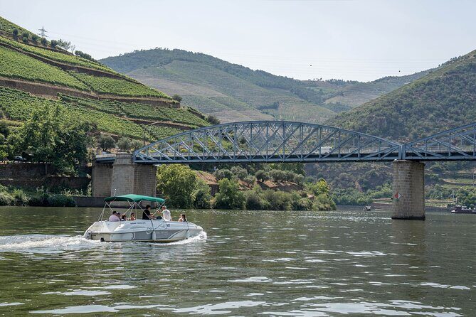 Small Group Douro Valley Wine Tour with Lunch and Cruise - Transportation & Group Size