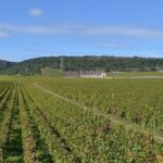 Small-Group Full-Day Tour of Côte de Nuits, Côte de Beaune Vineyards and Beaune Historical District - The Sum Up: Who Is This Tour Best For?