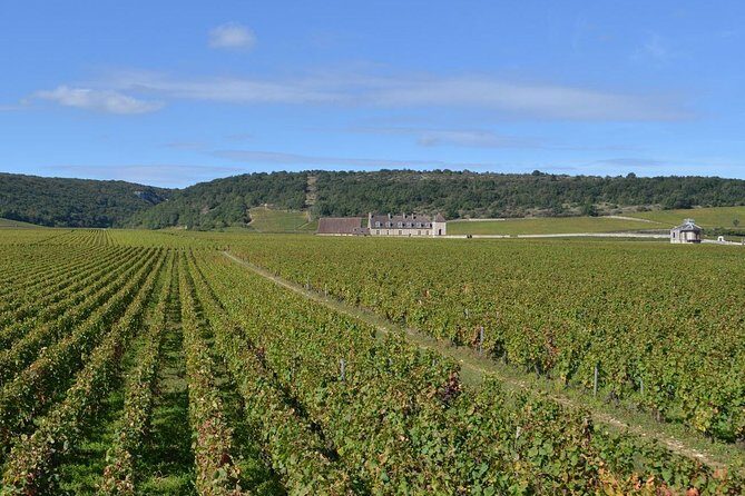 Small-Group Full-Day Tour of Côte de Nuits, Côte de Beaune Vineyards and Beaune Historical District - The Sum Up: Who Is This Tour Best For?