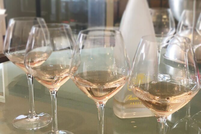 Small group half day Camargue and rosé wine tour from Montpellier - Why This Tour Could Be the Right Choice for You