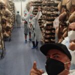 Small-Group Prosciutto Factory 4-Hour Tasting Tour in Bologna - Who Will Love This Tour?
