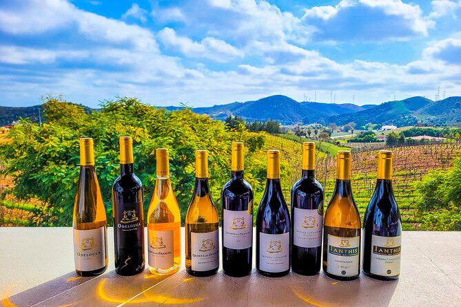 Small group Wine Tasting Tour from Lagos - What Sets This Tour Apart?