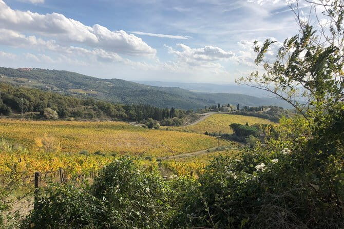 Small Intimate Group: San Gimignano - Two Wine Tours with lunch - Value for Money: Is It Worth the Price?