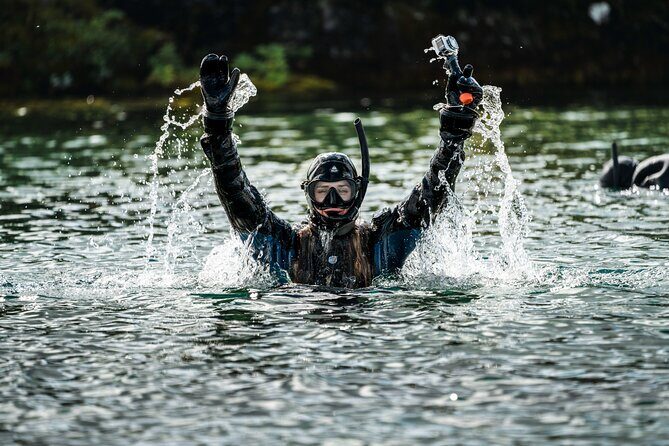 Snorkel the Silfra Fissure-Meet on Location (Free Photos & Cocoa) - Authentic Experiences and Honest Feedback