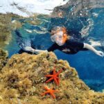 Snorkeling - By boat on site in the Bay of Cannes or Estérel - What’s Included and What’s Not