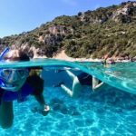 Snorkeling Experience to discover the dolphin inside you! - The Value of This Snorkeling Tour in Sardinia