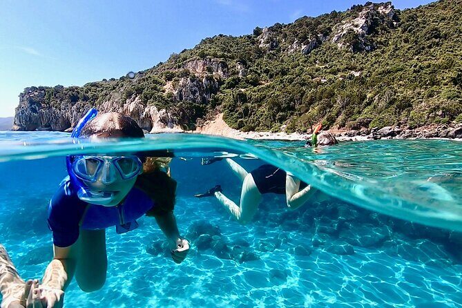 Snorkeling Experience to discover the dolphin inside you! - The Value of This Snorkeling Tour in Sardinia