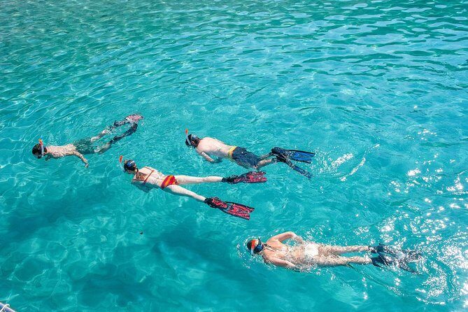 Snorkeling Tour to the Malgrats Islands by boat - Analyzing the Value
