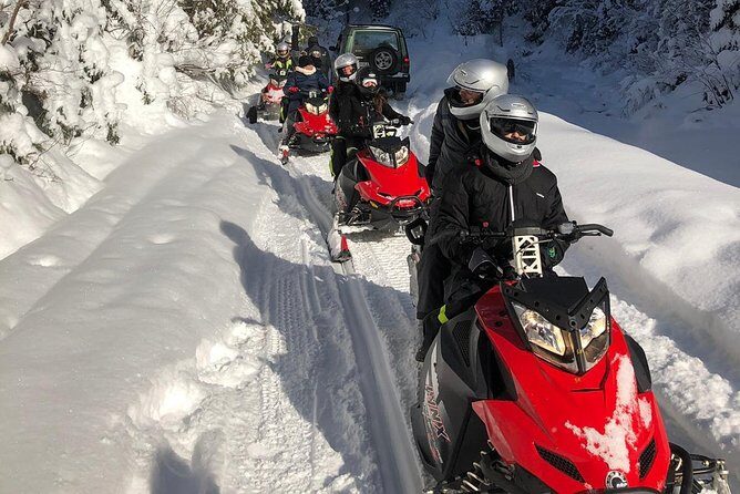 SnowMobiles Tour in Carpathian Mountains - What Makes the Ride Special?
