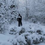 Snowshoe in a Winter Forest - The Sum Up