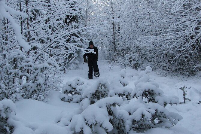 Snowshoe in a Winter Forest - The Sum Up