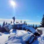 Snowshoeing Fun Tour from Cluj Napoca - Who Should Book This Tour?