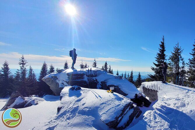Snowshoeing Fun Tour from Cluj Napoca - Who Should Book This Tour?