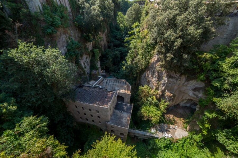 Sorrento: Guided Walking Tour & Street Food Experience - Who Will Love This Tour?