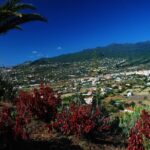 Special cruise tour Center and South La Palma (Price per car not per person) - What Makes This Tour Stand Out