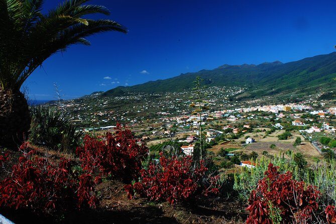 Special cruise tour Center and South La Palma (Price per car not per person) - What Makes This Tour Stand Out