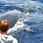 Spirit of the Sea: Cetacean sighting in Gran Canaria - Who Should Book This Tour?