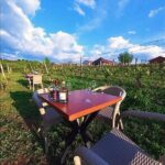 S&S Winery - Wine Tasting Experience in Ohrid - The Atmosphere and Group Size