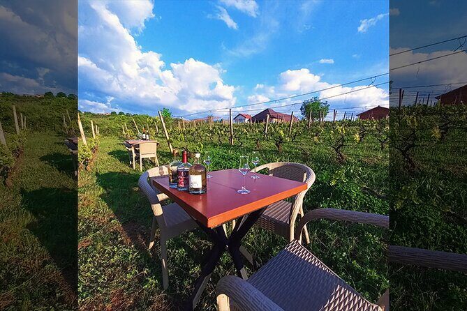 S&S Winery - Wine Tasting Experience in Ohrid - The Atmosphere and Group Size