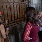 St Marks, Doges Palace, with Murano and Burano & Gondola Ride - Price & Value