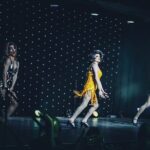 Stardust Variety Dinner Show - Who Would Love This Experience?