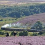 Steam Trains, Whitby, and the North York Moors Full-Day Tour from York - Who Will Love This Tour?