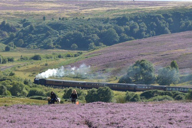 Steam Trains, Whitby, and the North York Moors Full-Day Tour from York - Who Will Love This Tour?