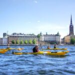 Stockholm City Kayak Tour - Who Should Consider This Tour?