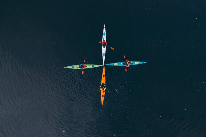 Stockholm: Winter Kayaking, Swedish Fika and hot Sauna Experience - The Experience: From Paddle to Pampering