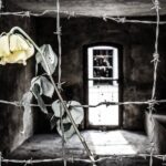 Stutthof Concentration Camp Private Tour from Gdansk - The Practicalities