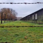 Stutthof Concentration Camp tour including transfer from Gdansk - Analyzing the Value