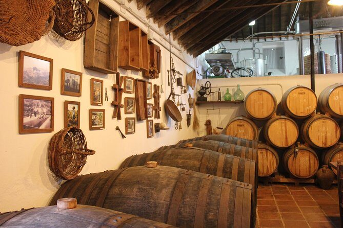 Sun and Wine Route - Small group, wine tasting and lunch included - What Makes This Tour Stand Out?