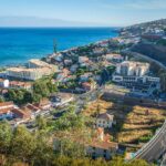 Sunday Market Tour - Madeira Island Excursion - What to Expect from the Tour