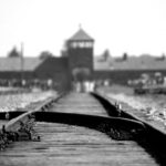 Super Saver: Auschwitz Birkenau & Wieliczka Salt Mine - Guide with Hotel Pickup - Final Thoughts
