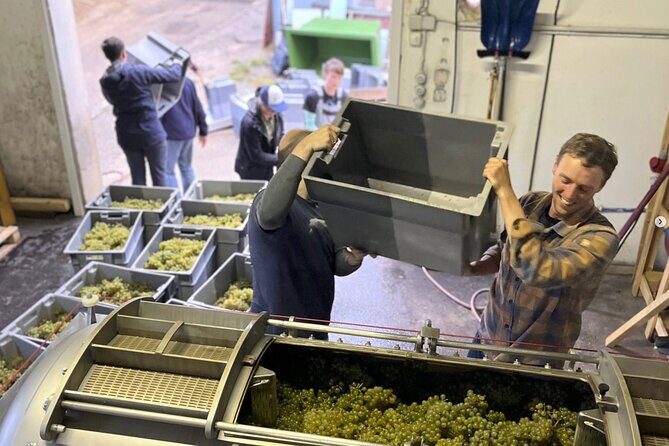 Taste and Tour Small Organic Wineries with a Winemaker - Who Will Love This Tour?