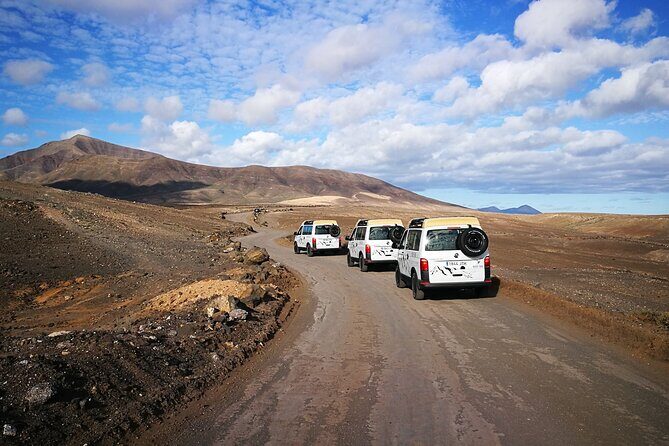 Tastes of Fuerteventura Minivan VIP Tour - Who Should Book This Tour?