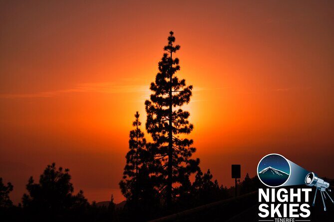 Teide National Park Sunset & Stargazing with Dinner (Star Safari) - Who Is This Tour For?