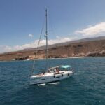 Tenerife Whale Watching and Snorkeling Yacht Trip - Additional Highlights