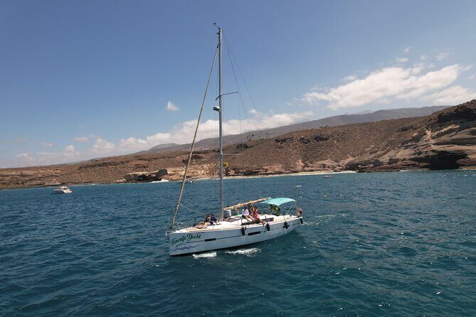 Tenerife Whale Watching and Snorkeling Yacht Trip - Additional Highlights