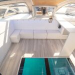 Tenerife Whales and Dolphins Watching Experience in Catamaran - What to Expect on the Experience