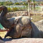 Terra Natura Benidorm Entrance Ticket - Final Thoughts: Who is Terra Natura Benidorm Perfect For?