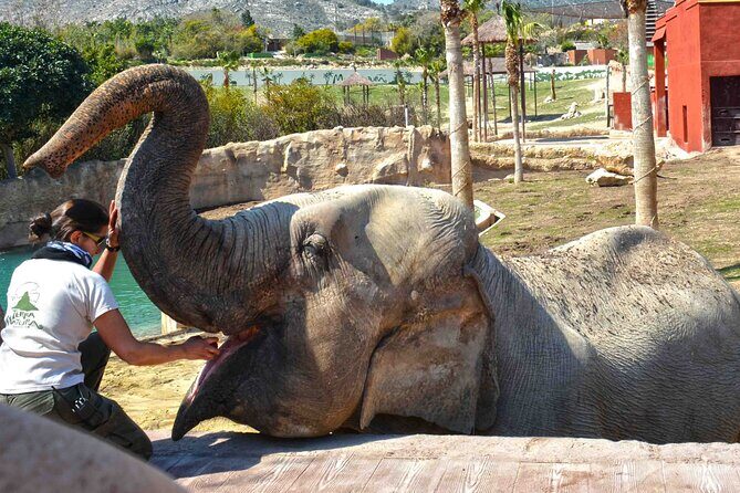 Terra Natura Benidorm Entrance Ticket - Final Thoughts: Who is Terra Natura Benidorm Perfect For?