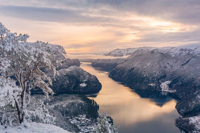 The Best Fjordcruise: Bergen fjord by Zodiac or Pontoon Boat - The Value of This Tour