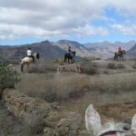 The Best Horse Riding Experience in Gran Canaria (2 hours) - Who Is It Best For?